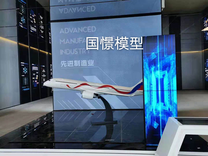 延吉市飞机模型